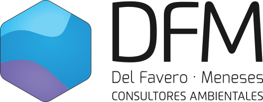 Logo DFM