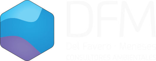 Logo DFM